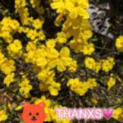 ヒメ日記 2025/03/08 21:27 投稿 あん ぷるりんクエスト上野浅草鶯谷秋葉原デリヘル王国