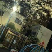 ヒメ日記 2025/04/01 08:55 投稿 あん ぷるりんクエスト上野浅草鶯谷秋葉原デリヘル王国