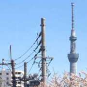 ヒメ日記 2025/04/04 20:26 投稿 あん ぷるりんクエスト上野浅草鶯谷秋葉原デリヘル王国