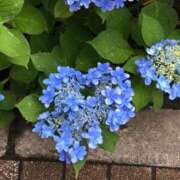 ヒメ日記 2025/05/25 18:18 投稿 あん ぷるりんクエスト上野浅草鶯谷秋葉原デリヘル王国