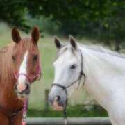 ヒメ日記 2026/01/10 20:03 投稿 あん ぷるりんクエスト上野浅草鶯谷秋葉原デリヘル王国