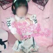 ヒメ日記 2025/03/01 18:55 投稿 ましろ Salon du M-えっちなお姉さんのM性感デリバリー-五反田店