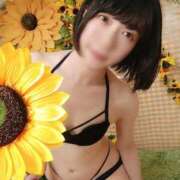 ヒメ日記 2025/08/28 07:40 投稿 ましろ Salon du M-えっちなお姉さんのM性感デリバリー-五反田店