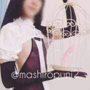 ヒメ日記 2025/11/28 08:28 投稿 ましろ Salon du M-えっちなお姉さんのM性感デリバリー-五反田店