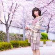 ヒメ日記 2026/04/11 11:28 投稿 ましろ Salon du M-えっちなお姉さんのM性感デリバリー-五反田店