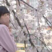 ましろ 🤍おちんちんの味覚えちゃったね♡🤍 Salon du M-えっちなお姉さんのM性感デリバリー-五反田店