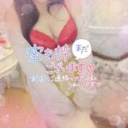 ヒメ日記 2025/08/06 23:00 投稿 すみれ 若妻淫乱倶楽部