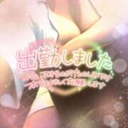 ヒメ日記 2025/10/16 18:30 投稿 すみれ 若妻淫乱倶楽部