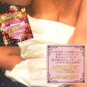 ヒメ日記 2026/02/11 22:43 投稿 すみれ 若妻淫乱倶楽部