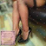 ヒメ日記 2026/04/15 15:35 投稿 すみれ 若妻淫乱倶楽部