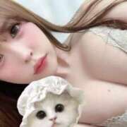 ヒメ日記 2025/03/01 01:18 投稿 SAKURA 大阪ニューハーフヘルス ルピナスハーフ梅田