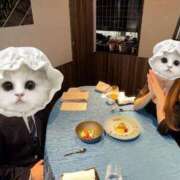 ヒメ日記 2025/03/15 00:48 投稿 SAKURA 大阪ニューハーフヘルス ルピナスハーフ梅田