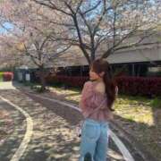 ヒメ日記 2025/04/14 20:08 投稿 SAKURA 大阪ニューハーフヘルス ルピナスハーフ梅田