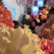 ヒメ日記 2025/05/17 23:48 投稿 SAKURA 大阪ニューハーフヘルス ルピナスハーフ梅田