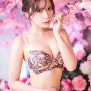 ヒメ日記 2025/06/11 10:09 投稿 SAKURA 大阪ニューハーフヘルス ルピナスハーフ梅田