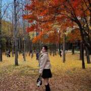 ヒメ日記 2025/12/02 01:18 投稿 SAKURA 大阪ニューハーフヘルス ルピナスハーフ梅田