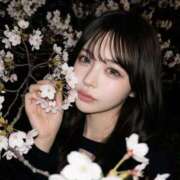 ヒメ日記 2026/04/08 18:48 投稿 SAKURA 大阪ニューハーフヘルス ルピナスハーフ梅田