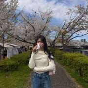 ヒメ日記 2026/04/11 00:48 投稿 SAKURA 大阪ニューハーフヘルス ルピナスハーフ梅田