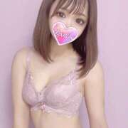 ヒメ日記 2024/12/16 08:24 投稿 まろん プロフィール姫路