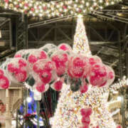 ヒメ日記 2025/11/20 16:54 投稿 さおり モアグループ熊谷人妻花壇