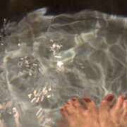 ヒメ日記 2026/03/31 06:18 投稿 みやび 深海魚