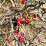 ヒメ日記 2025/03/02 08:16 投稿 真宮（マミヤ） アバンチュール(五反田)