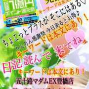 飛鳥りん 本日解禁♪りんりん感謝祭(ちょこっとプラス)飛鳥りん 五十路マダムエクスプレス豊橋店（カサブランカグループ）