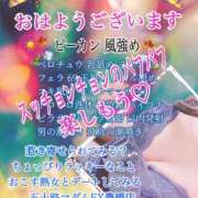 ヒメ日記 2024/11/06 11:08 投稿 飛鳥りん 五十路マダムエクスプレス豊橋店（カサブランカグループ）