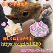 ヒメ日記 2025/02/10 00:16 投稿 飛鳥りん 五十路マダムエクスプレス豊橋店（カサブランカグループ）