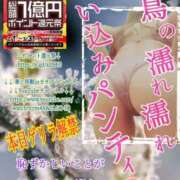 ヒメ日記 2025/02/20 14:22 投稿 飛鳥りん 五十路マダムエクスプレス豊橋店（カサブランカグループ）