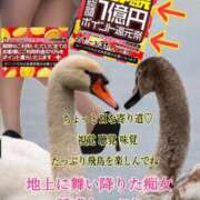 ヒメ日記 2025/02/24 01:29 投稿 飛鳥りん 五十路マダムエクスプレス豊橋店（カサブランカグループ）