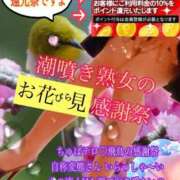 ヒメ日記 2025/03/31 11:18 投稿 飛鳥りん 五十路マダムエクスプレス豊橋店（カサブランカグループ）