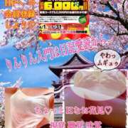 ヒメ日記 2025/04/14 11:56 投稿 飛鳥りん 五十路マダムエクスプレス豊橋店（カサブランカグループ）