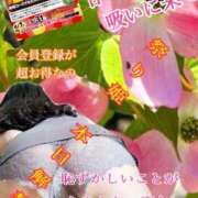 ヒメ日記 2025/04/18 15:04 投稿 飛鳥りん 五十路マダムエクスプレス豊橋店（カサブランカグループ）