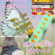 ヒメ日記 2025/04/21 12:50 投稿 飛鳥りん 五十路マダムエクスプレス豊橋店（カサブランカグループ）