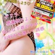 ヒメ日記 2025/04/21 15:05 投稿 飛鳥りん 五十路マダムエクスプレス豊橋店（カサブランカグループ）