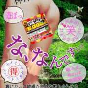 ヒメ日記 2025/04/21 19:26 投稿 飛鳥りん 五十路マダムエクスプレス豊橋店（カサブランカグループ）