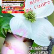 ヒメ日記 2025/04/22 11:46 投稿 飛鳥りん 五十路マダムエクスプレス豊橋店（カサブランカグループ）