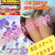 ヒメ日記 2025/04/27 13:10 投稿 飛鳥りん 五十路マダムエクスプレス豊橋店（カサブランカグループ）