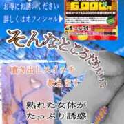 ヒメ日記 2025/04/29 17:16 投稿 飛鳥りん 五十路マダムエクスプレス豊橋店（カサブランカグループ）