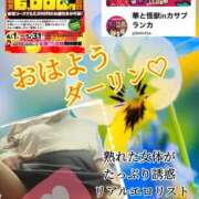 ヒメ日記 2025/05/08 08:50 投稿 飛鳥りん 五十路マダムエクスプレス豊橋店（カサブランカグループ）