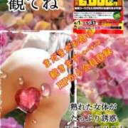 ヒメ日記 2025/05/10 17:52 投稿 飛鳥りん 五十路マダムエクスプレス豊橋店（カサブランカグループ）