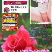 ヒメ日記 2025/05/12 12:06 投稿 飛鳥りん 五十路マダムエクスプレス豊橋店（カサブランカグループ）