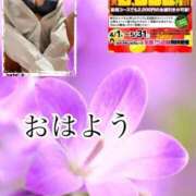 ヒメ日記 2025/05/20 07:02 投稿 飛鳥りん 五十路マダムエクスプレス豊橋店（カサブランカグループ）