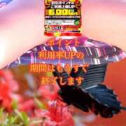 ヒメ日記 2025/05/20 17:28 投稿 飛鳥りん 五十路マダムエクスプレス豊橋店（カサブランカグループ）