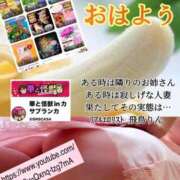 ヒメ日記 2025/06/05 07:46 投稿 飛鳥りん 五十路マダムエクスプレス豊橋店（カサブランカグループ）