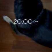 ヒメ日記 2025/05/14 18:20 投稿 れみ ウルトラセレクション