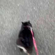 ヒメ日記 2025/07/03 19:00 投稿 れみ ウルトラセレクション