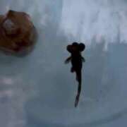 ヒメ日記 2025/07/04 17:20 投稿 れみ ウルトラセレクション