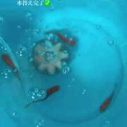 ヒメ日記 2025/08/01 12:21 投稿 れみ ウルトラセレクション